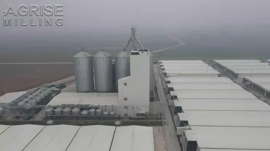 Hot Sale in Africa Steel Plate Silo Grain Moisture and Insect Resistant Storage Cone Bottom Steel Plate Silo 