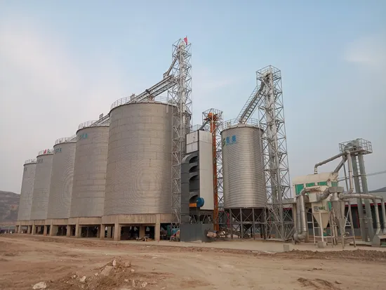 Grain Flat Bottom Silo with Hot