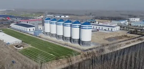 Steel Plate Silos for Grain Temperature Measurement Systems 
